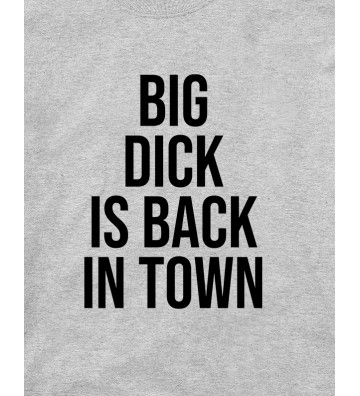 Big Dick is back in town - mikina