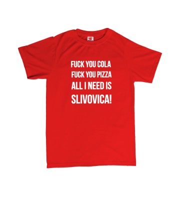 All I need is slivovica - pánské tričko s potiskem